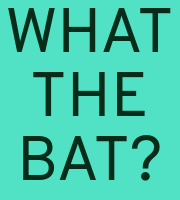 WHAT THE BAT?